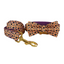 Halloween Anti-Lost Custom Engraved Pet Collar