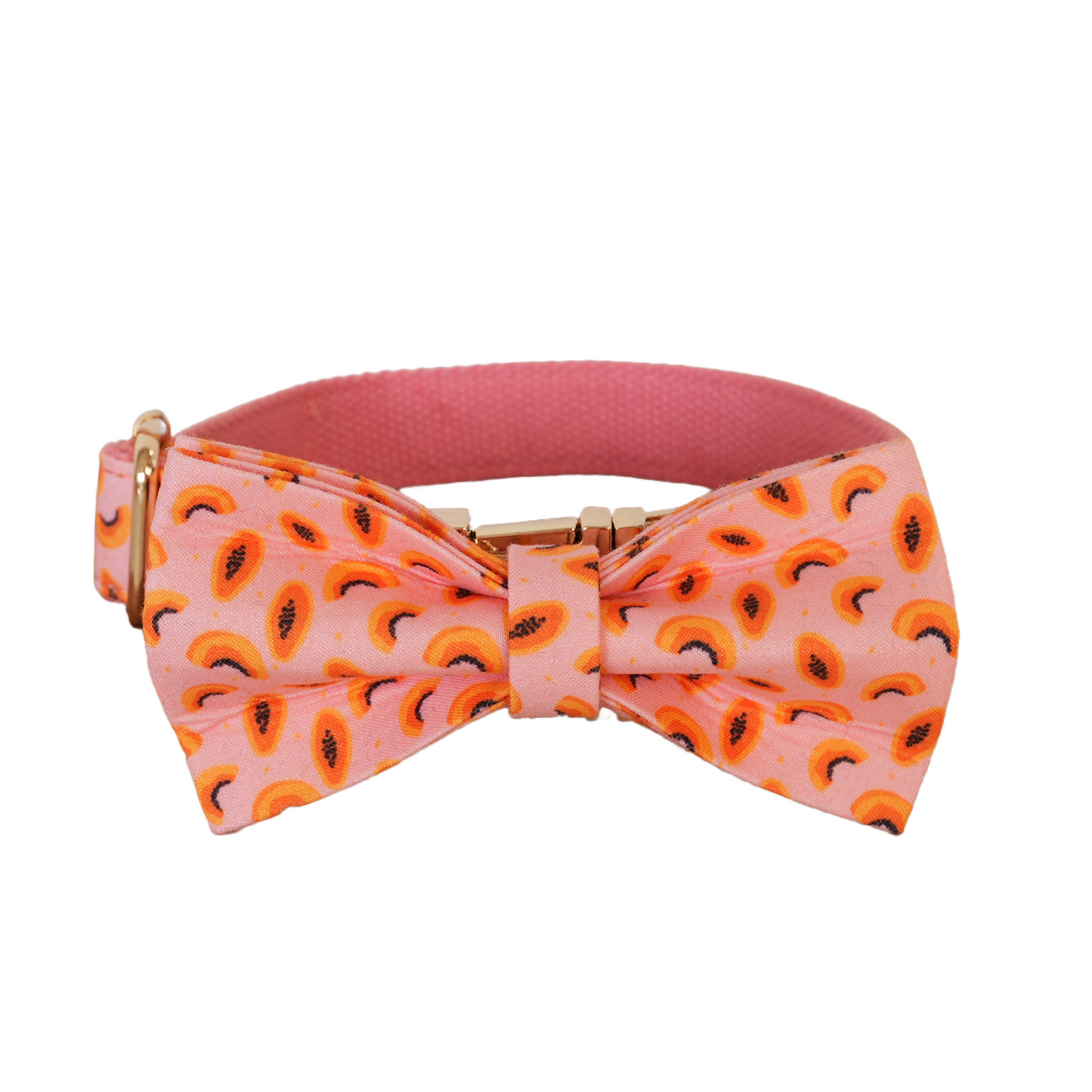 Colorful Fower Custom Dog Collars, Personalized Puppy Collar, Bowtie, Leash