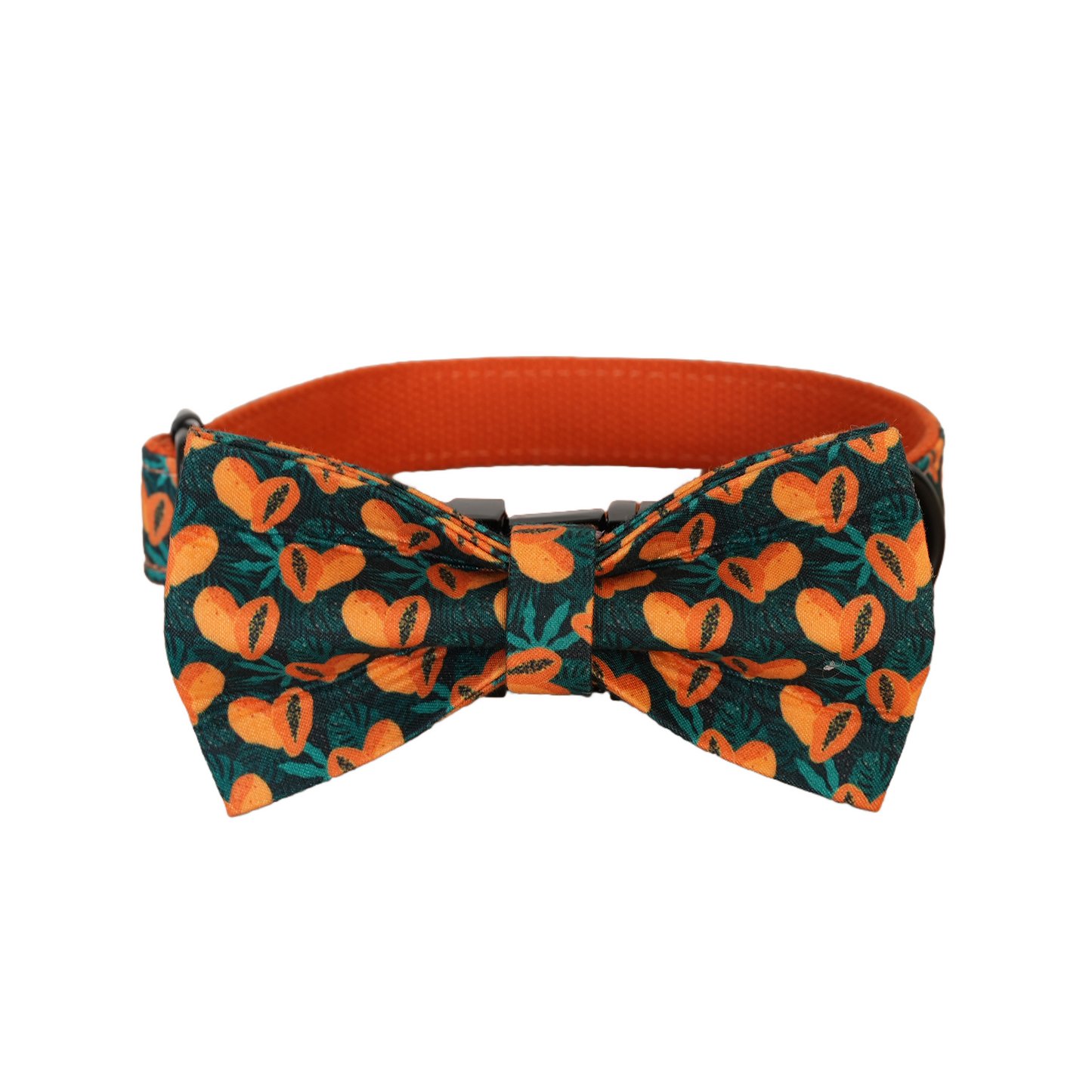 Blue Fower Custom Dog Collars, Personalized Puppy Collar, Bowtie, Leash