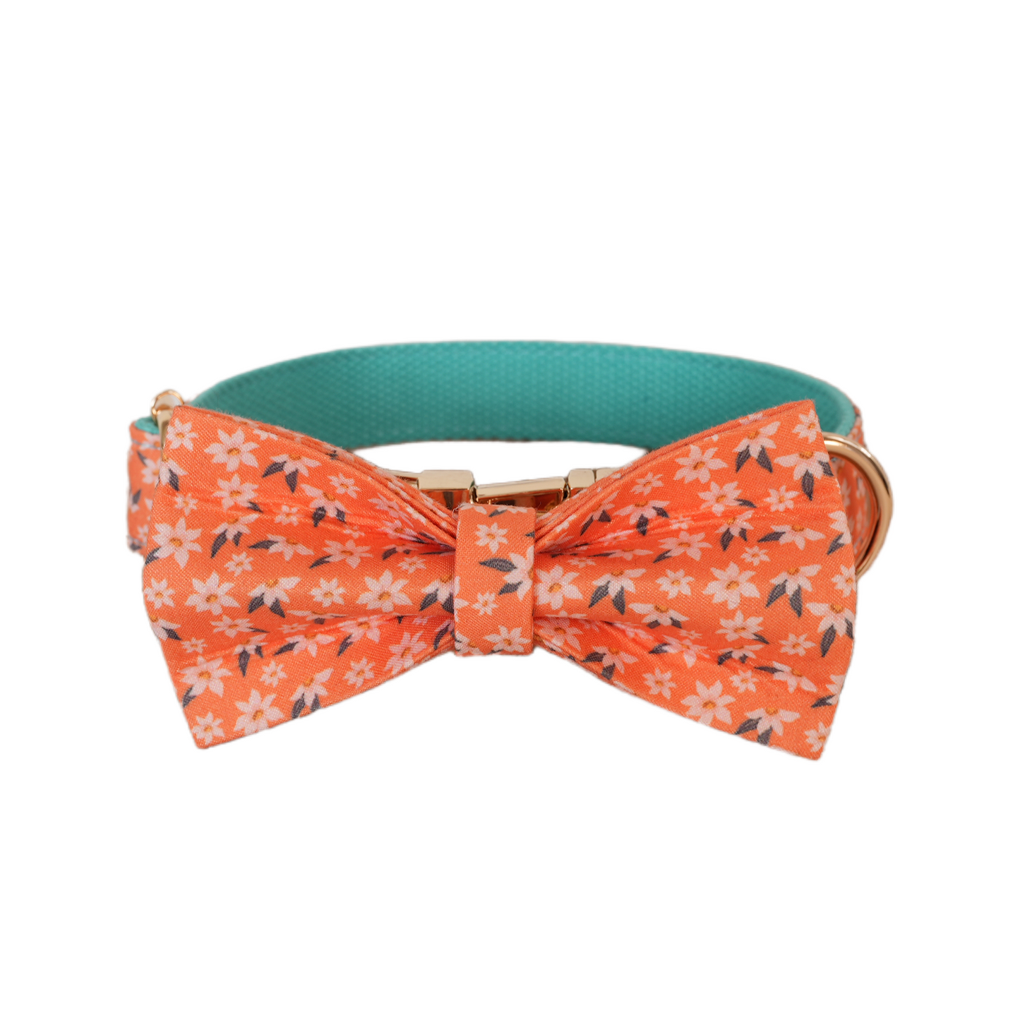 Blue Fower Custom Dog Collars, Personalized Puppy Collar, Bowtie, Leash