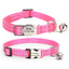 2 Pack Personalized Cat Collar with Bell