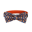 Halloween Anti-Lost Custom Engraved Pet Collar