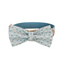 Little Fower Custom Dog Collars, Personalized Puppy Collar, Bowtie, Leash