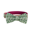 Blue Fower Custom Dog Collars, Personalized Puppy Collar, Bowtie, Leash