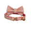 Personalized Green Cat Collar with Bowtie Free Engraved
