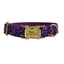 Halloween Anti-Lost Custom Engraved Pet Collar