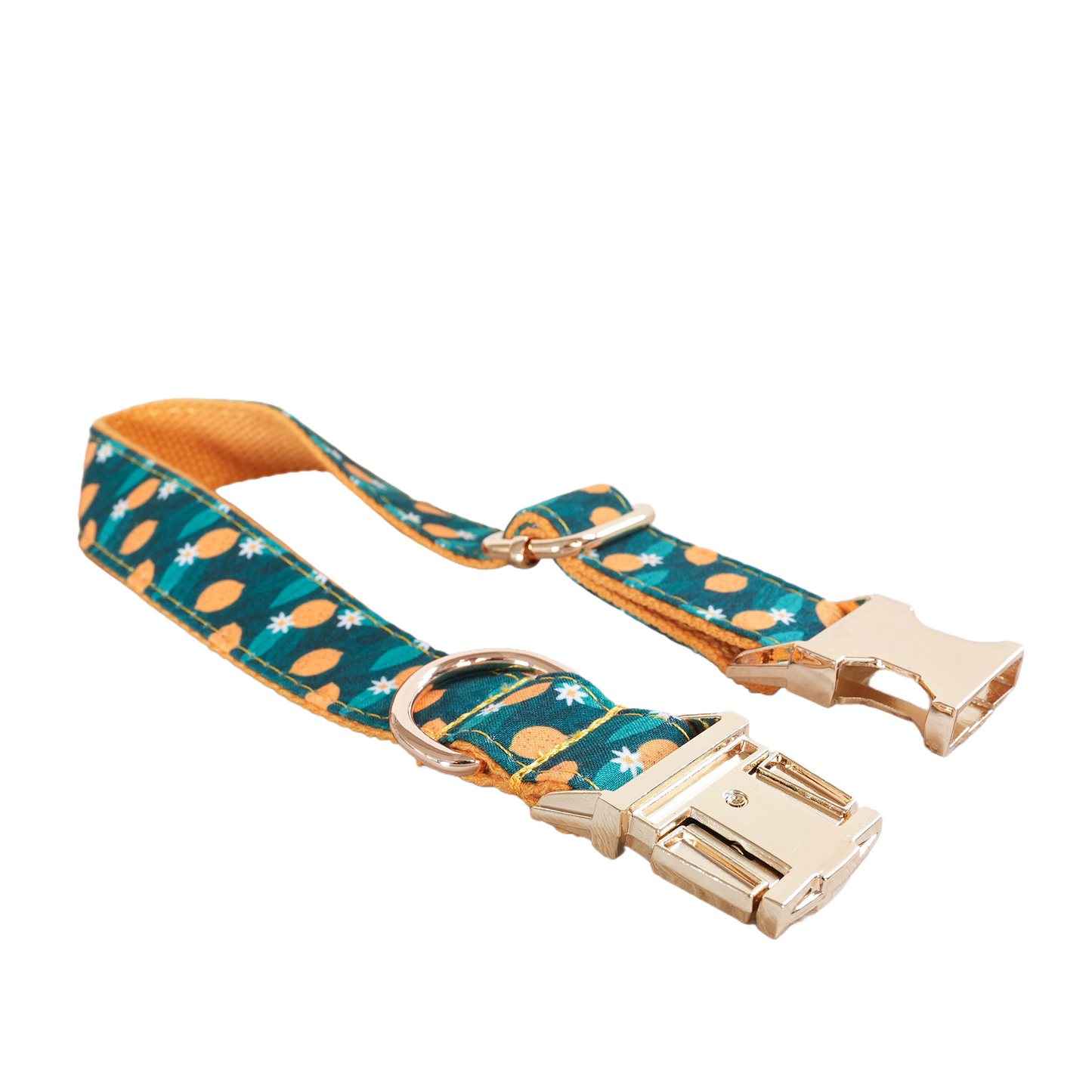 Blue Fower Custom Dog Collars, Personalized Puppy Collar, Bowtie, Leash