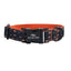 Halloween Anti-Lost Custom Engraved Pet Collar