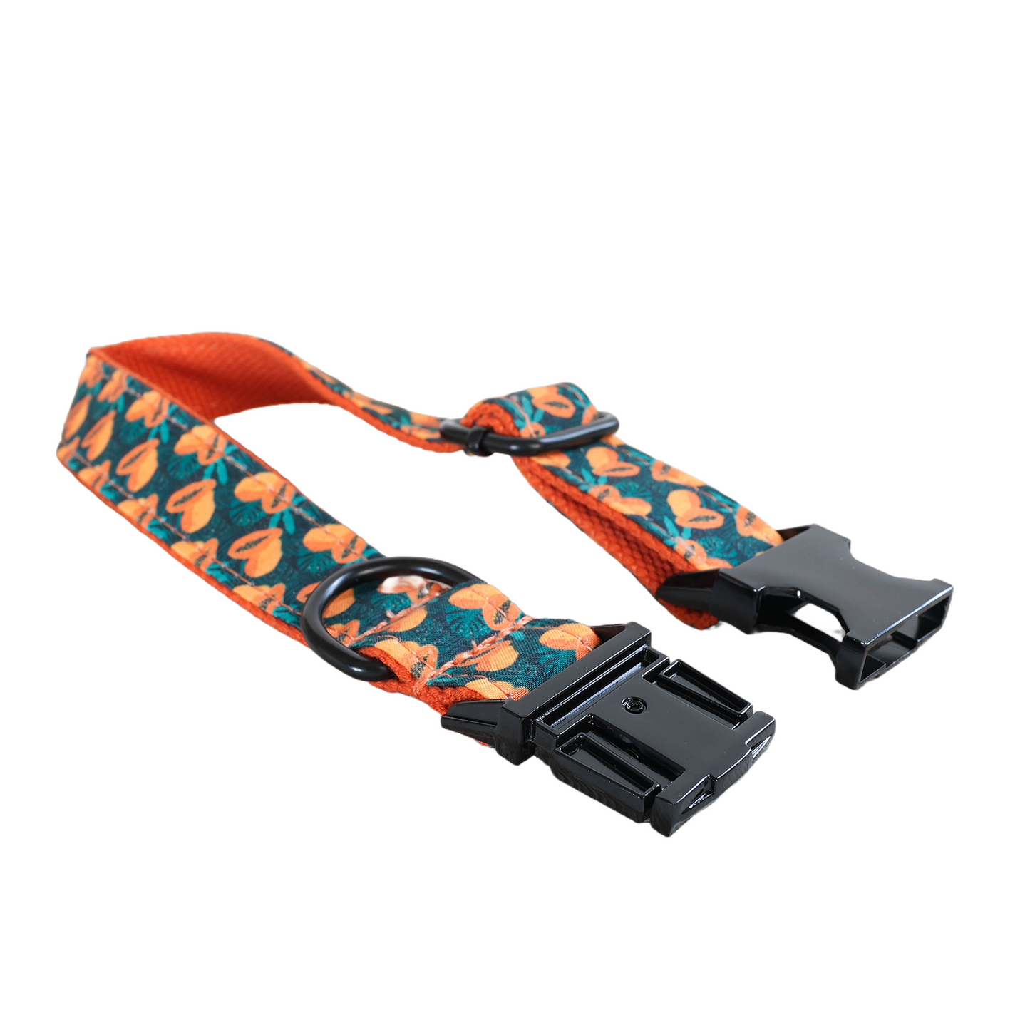 Blue Fower Custom Dog Collars, Personalized Puppy Collar, Bowtie, Leash