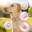 Custom Engraved Color Plastic Buckle Pet Collars - Personalized ID Collar