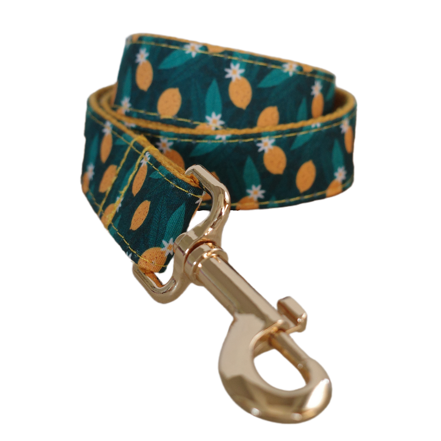 Blue Fower Custom Dog Collars, Personalized Puppy Collar, Bowtie, Leash