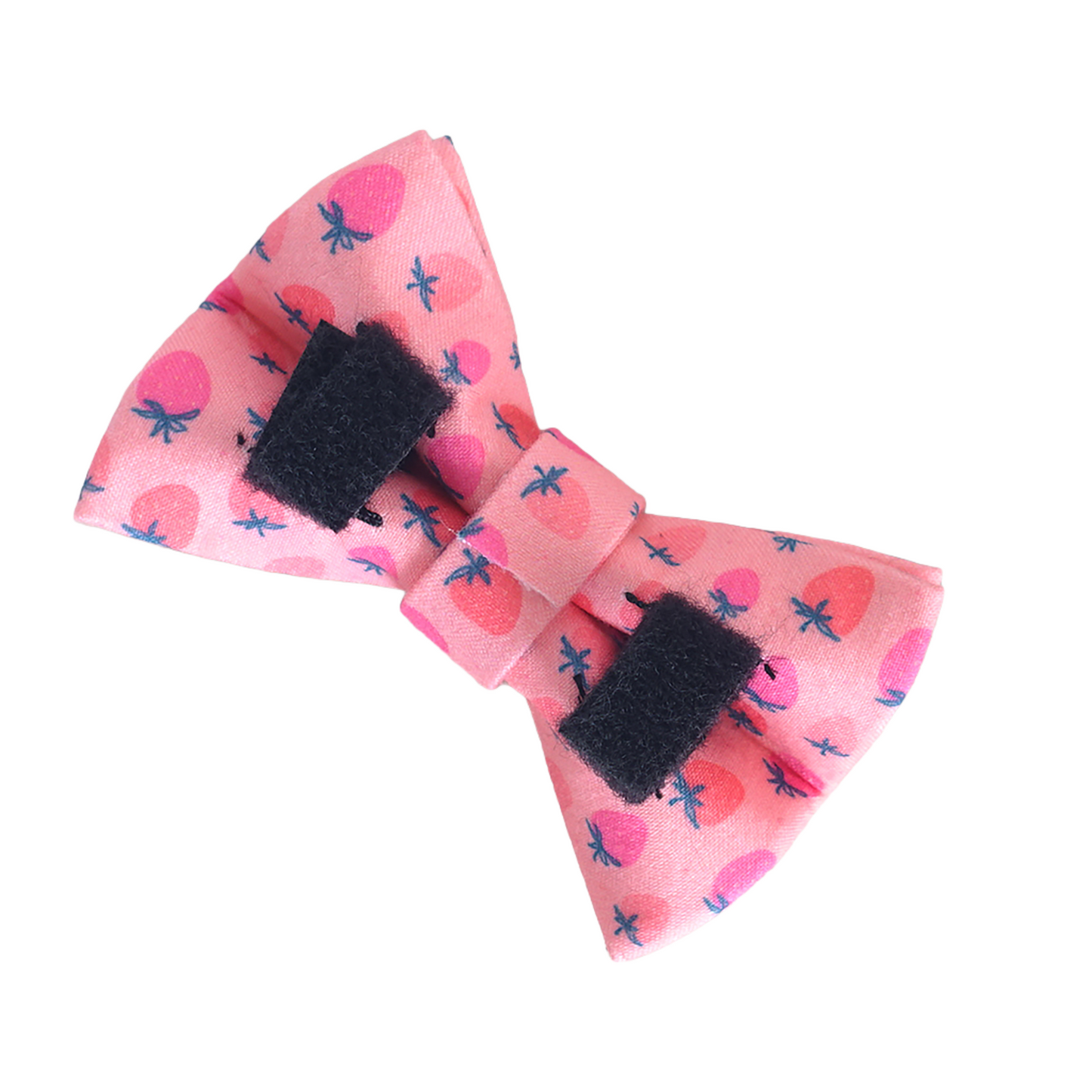 Purple Flower Personalized Cat Collar with Bowtie Free Engraved