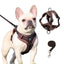 Reflective Cat Harness, Adjustable Kitten Harness and Leash Set