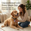Personalized Silicone Pet ID Tags, Custom Two Sides