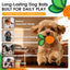 2.2" Treat Dispensing Ball Dog Chew Toys for Small Breeds