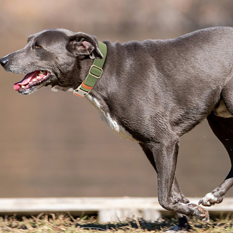 Natural Hemp Adjustable Dog Collar - Engravedable