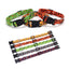 Adjustable Halloween Dog Collars
