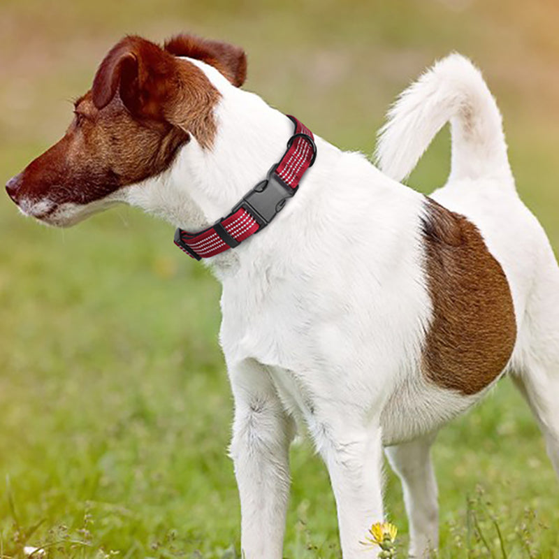 Comfortable Adjustable Reflective Dog Collar with Plastic Buckle - Engravedable