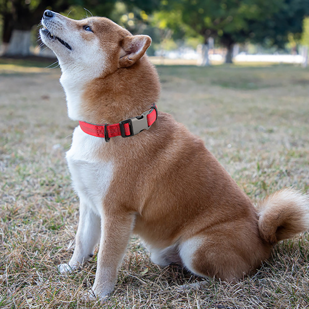 Comfortable Adjustable Reflective Dog Collar - Engravedable