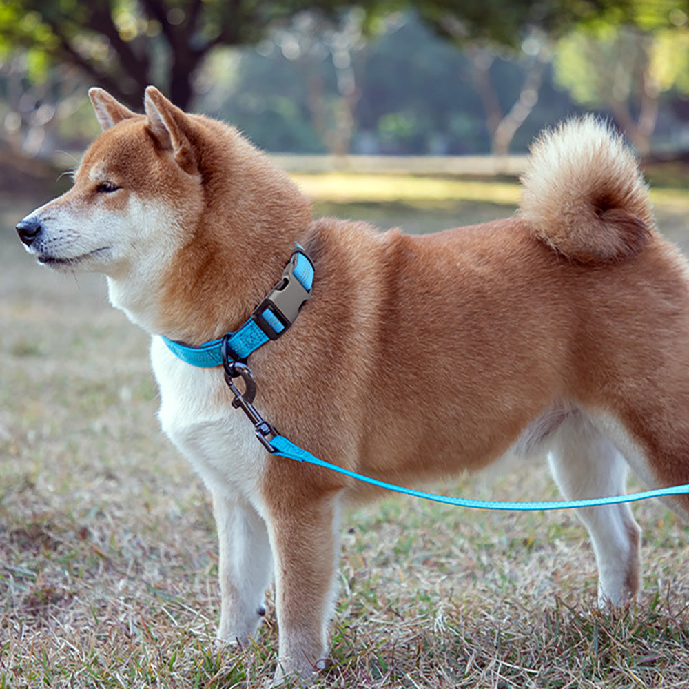 Comfortable Adjustable Reflective Dog Collar - Engravedable