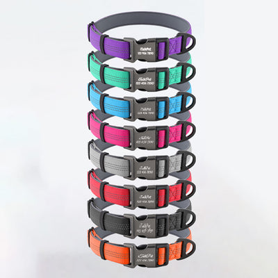 Comfortable Adjustable Dog Collar - Customable