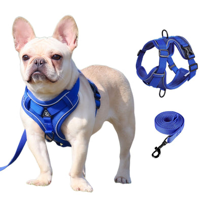 Reflective Cat Harness, Adjustable Kitten Harness and Leash Set