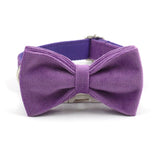 Velvet Custom Dog Collar With Bow Tie & Leash Set