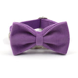 Velvet Personalized Dog Collar With Bow Tie & Leash Set