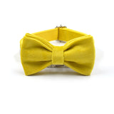 Velvet Personalized Dog Collar With Bow Tie & Leash Set