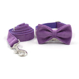 Velvet Custom Dog Collar With Bow Tie & Leash Set