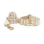 Customized Plaid Dog Collar - Engraved Pet Collar