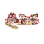 Personalized Fruit Pattern Cat Collar with Leash and Bowtie