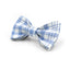 Customized Plaid Dog Collar - Engraved Pet Collar