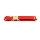 Print Personalized Dog Collars with Leash Set