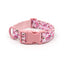 Custom Engraved Color Plastic Buckle Pet Collars - Personalized ID Collar