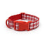 Custom Engraved Color Plastic Buckle Pet Collars - Personalized ID Collar