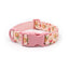 Custom Engraved Color Plastic Buckle Pet Collars - Personalized ID Collar