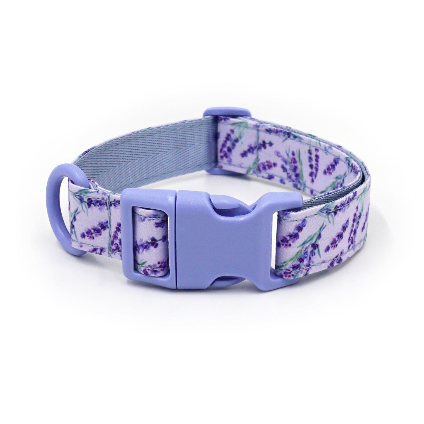 Custom Engraved Color Plastic Buckle Pet Collars - Personalized ID Collar