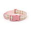 Custom Engraved Color Plastic Buckle Pet Collars - Personalized ID Collar