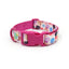 Custom Engraved Color Plastic Buckle Pet Collars - Personalized ID Collar