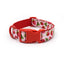 Custom Engraved Color Plastic Buckle Pet Collars - Personalized ID Collar