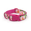 Custom Engraved Color Plastic Buckle Pet Collars - Personalized ID Collar