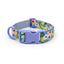 Custom Engraved Color Plastic Buckle Pet Collars - Personalized ID Collar