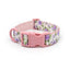 Custom Engraved Color Plastic Buckle Pet Collars - Personalized ID Collar