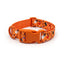 Custom Engraved Color Plastic Buckle Pet Collars - Personalized ID Collar