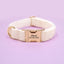 Velvet Customized Dog Collar - Personalized Dog Collars
