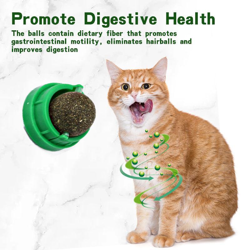4 Pcs Catnip Cat Toys - Extra Cat Energy Ball - iTalkPet