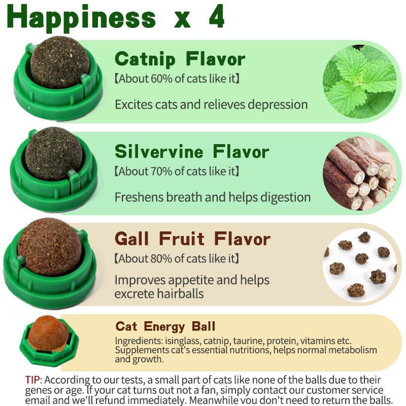 4 Pcs Catnip Cat Toys - Extra Cat Energy Ball - iTalkPet