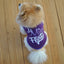 4PCS Dog Summer Sweatshirt Puppy Cute Vest for Small Pet - iTalkPet
