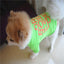 4PCS Dog Summer Sweatshirt Puppy Cute Vest for Small Pet - iTalkPet